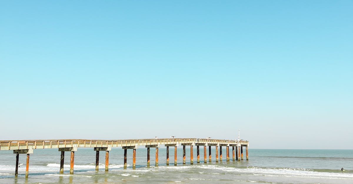 How Tourism Keeps North Florida’s Atlantic Beach Shelling Spots Thriving and Sparkling