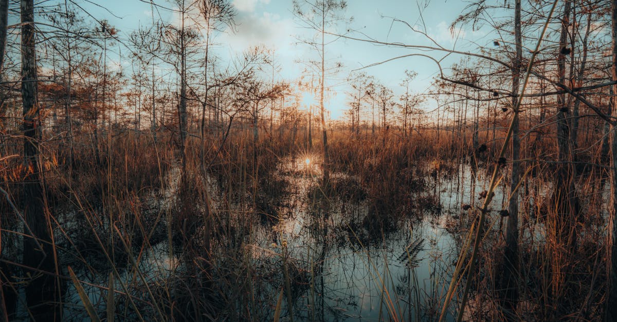 North Florida’s Coastal Communities Face a Political Reckoning Over Tourism as Sea Level Rise Projections Climb
