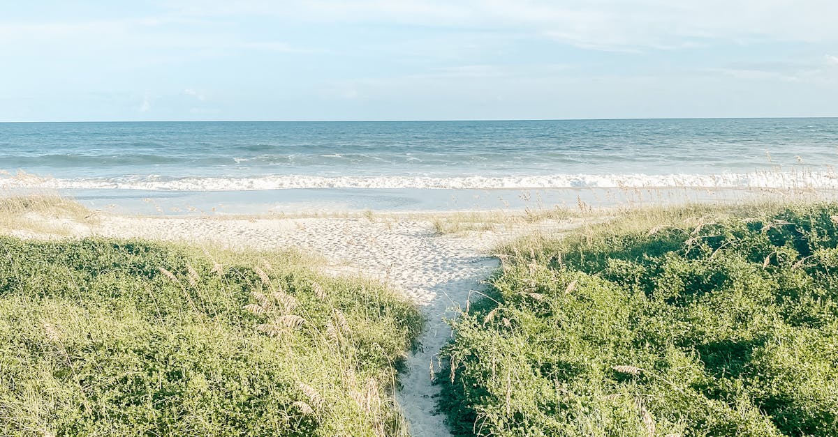 Jacksonville Beach vs Ponte Vedra Beach: Finding the Right North Florida Beach for Your Political Perspective