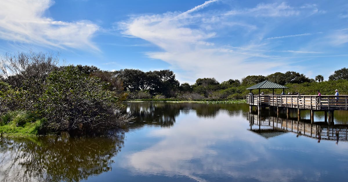 Hidden Trails Threaten Sea Turtle Nesting Beaches in Flagler and St. Johns Counties
