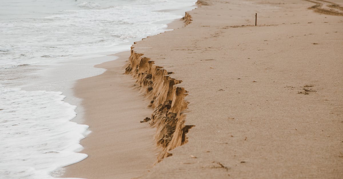 When Sand Meets Science: Rethinking Nature’s Role in First Coast Beach Makeovers