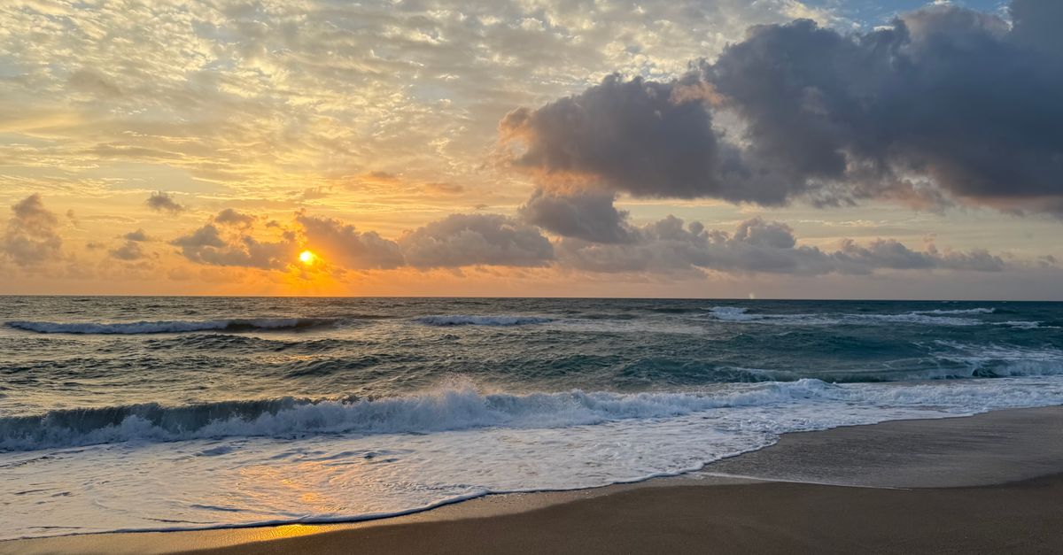 Can North Florida’s Unspoiled Beaches Outlast Erosion and Development Pressure?