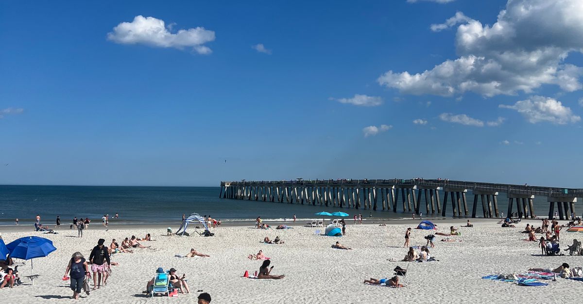 Sorry, Your Dog Will Love This: How North Florida’s Pet-Friendly Beaches Keep Getting Even More Fascinating